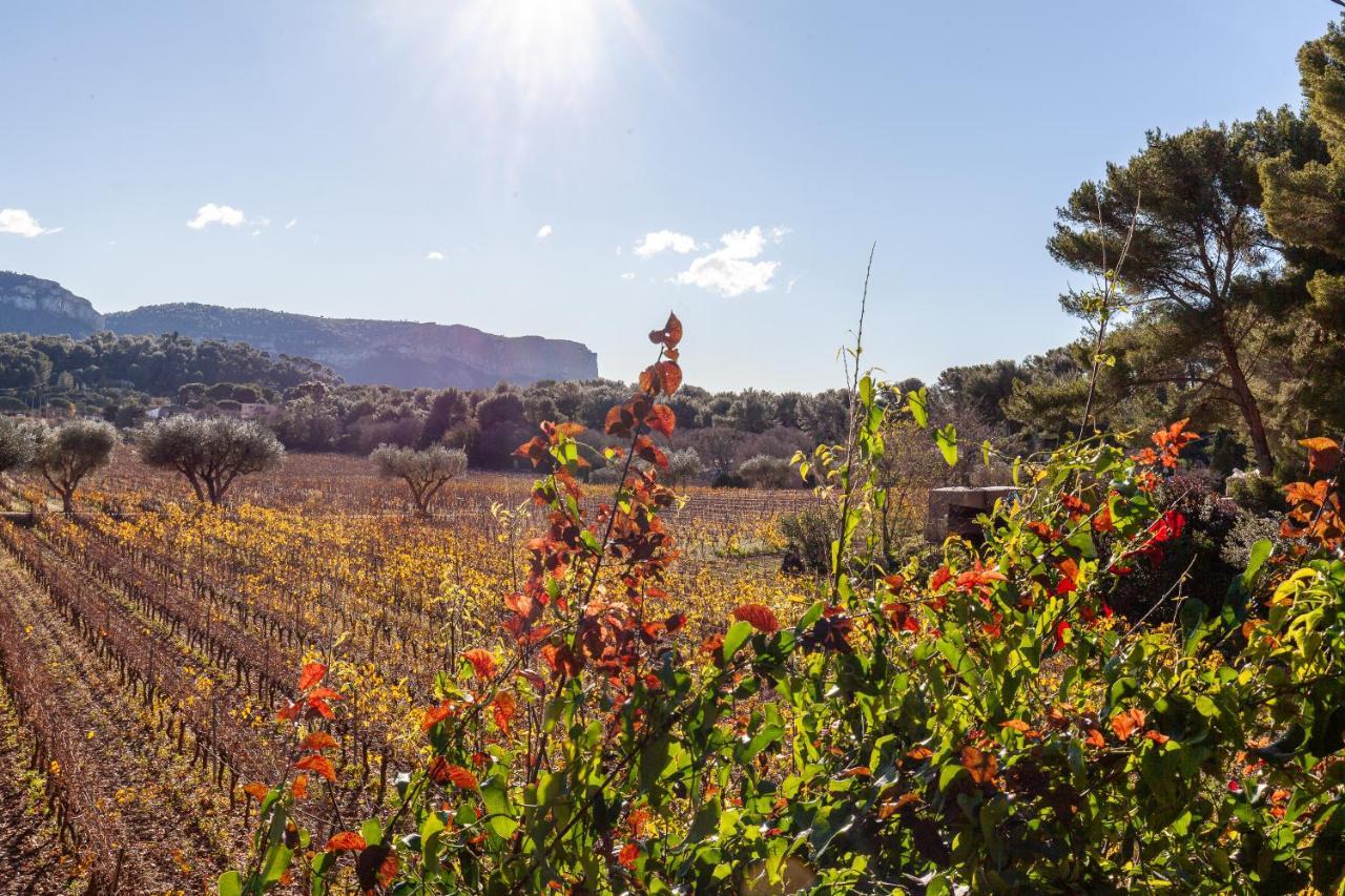 Ukika Cassis